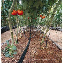 PE Drip Irrigation Pipe for Drip Irrigation System